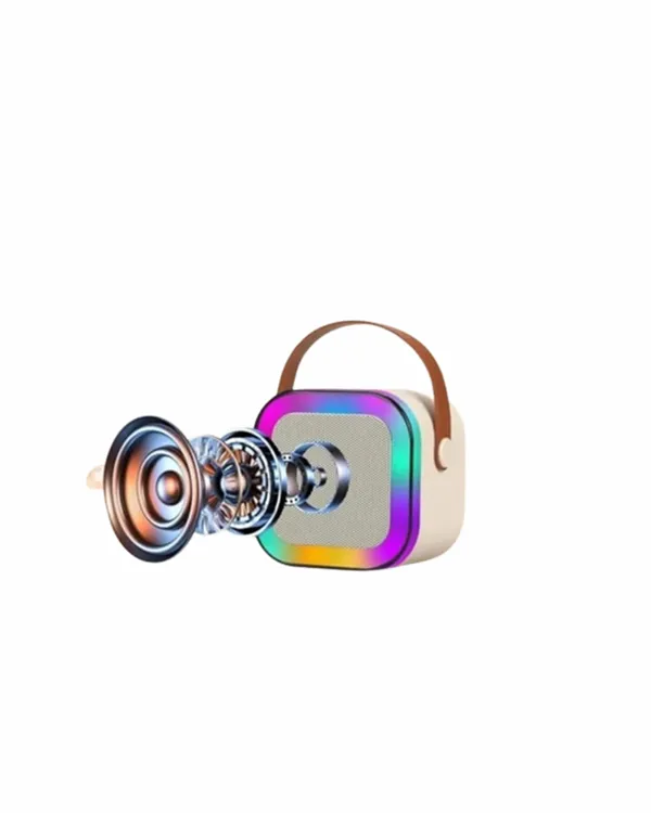 Yüksek Performanslı Kablosuz Karaoke Hoparlör