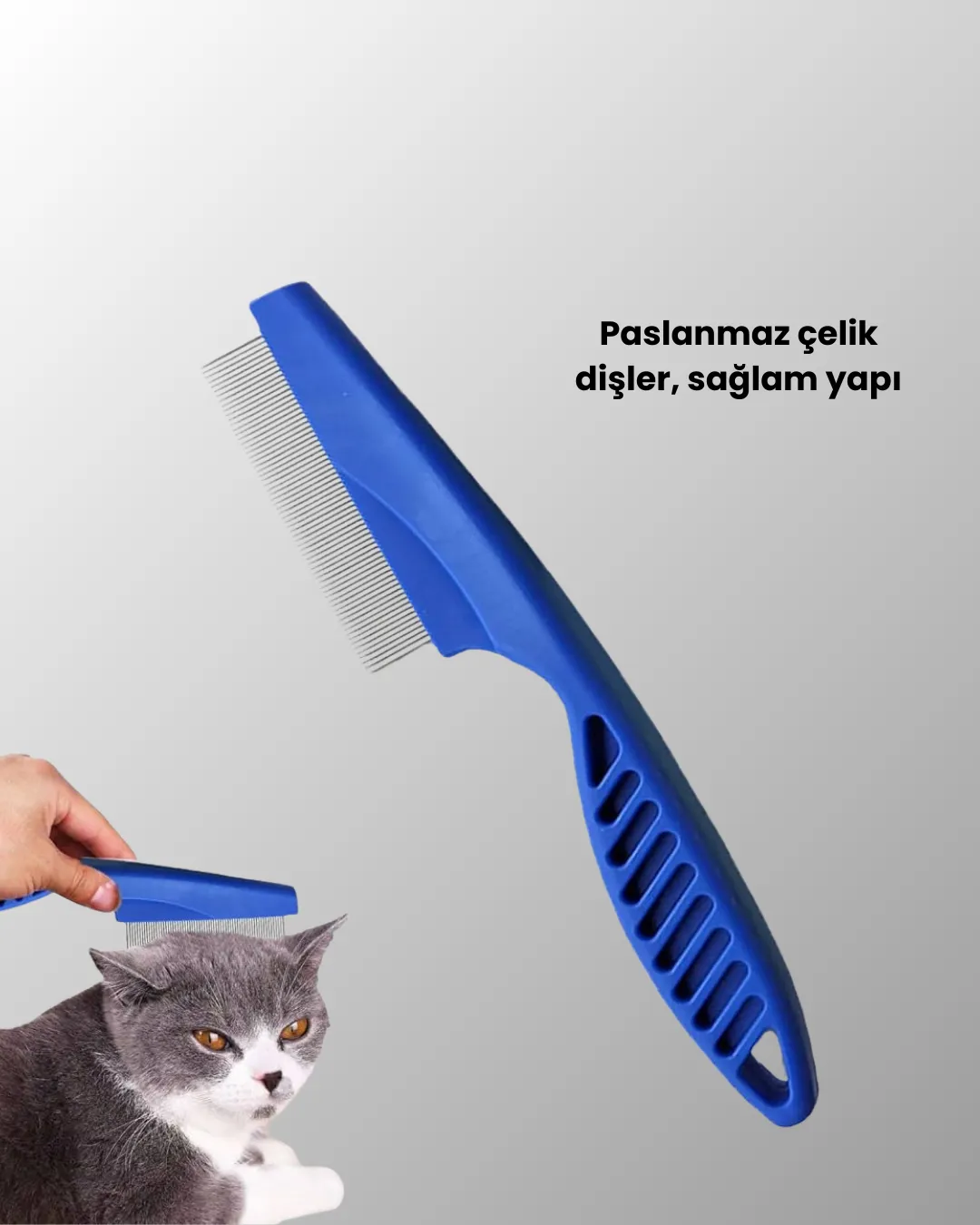 Kedi, Köpek ve Küçük Hayvanlar İçin 4 Parça Ergonomik Tarak Takımı