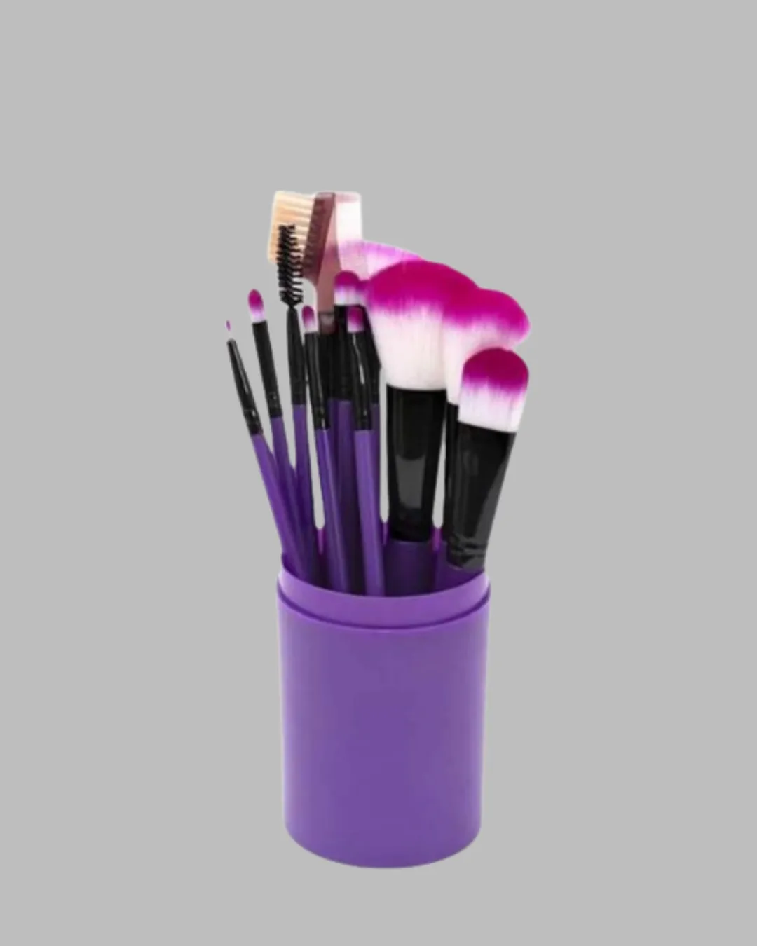 Profesyonel Makyaj Uygulamalarına Özel 12 Parça Kompakt ve Hafif Makyaj Fırça Seti