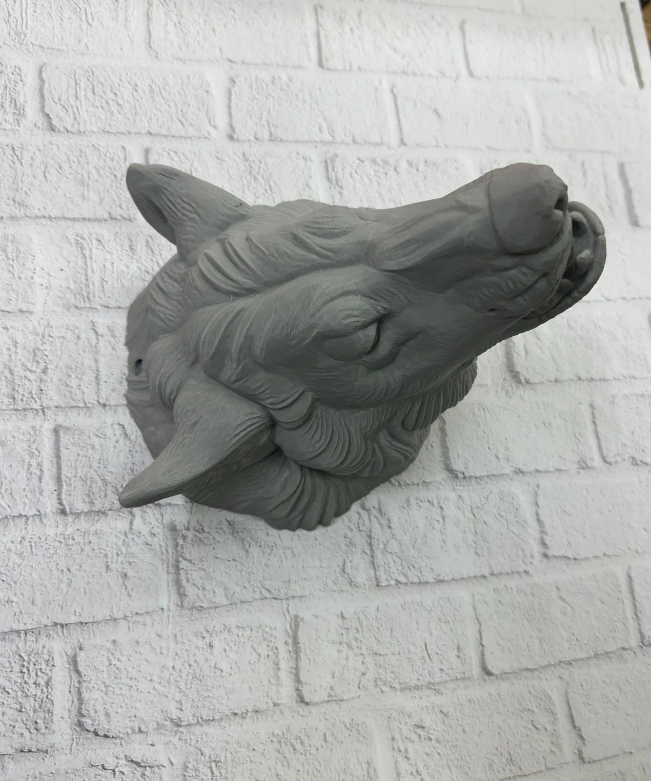 Gri Kurt Duvar Biblosu Güçlü Detaylı Dekoratif Tasarım 25x19 cm