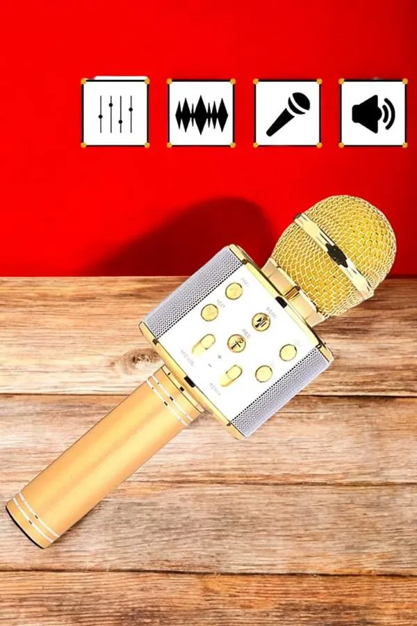Şarjlı ve Uzun Pil Ömürlü Karaoke Mikrofon USB Bellek Destekli, Profesyonel Ses