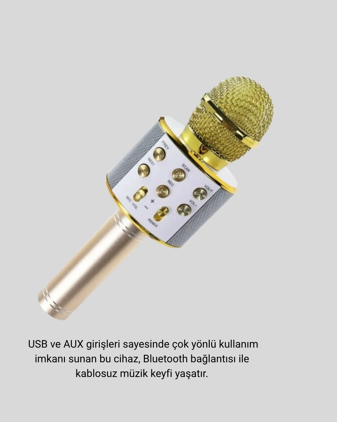 Karaoke Mikrofonu Bluetooth USB AUX Girişli Yankı Efektli