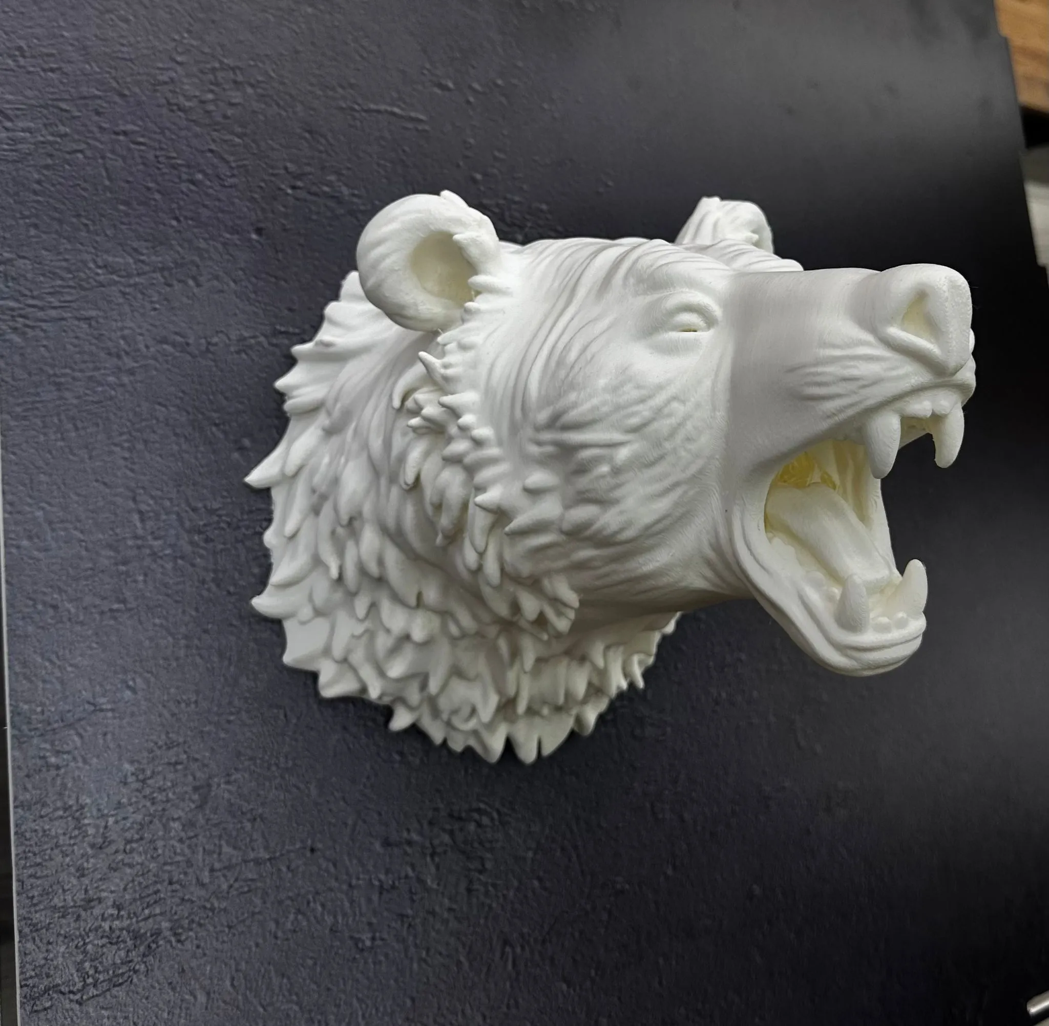 Beyaz Renk 3D Ayı Başı Duvar Dekoru