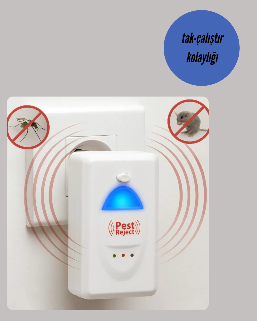 Kimyasal İçermeyen Evcil Hayvan Dostu Haşere Kovucu