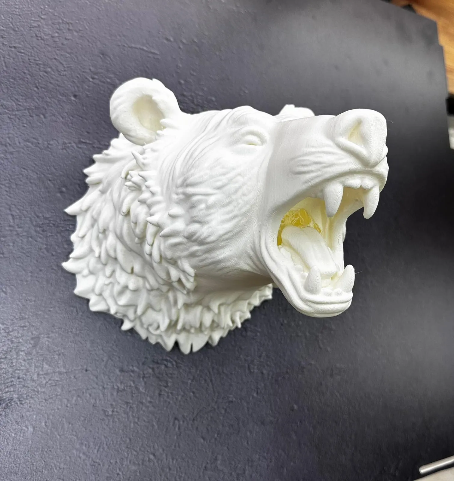 Beyaz Renk 3D Ayı Başı Duvar Dekoru